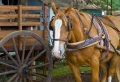 Are You Ready To Party - Gaucho Party At The Santa Susana Ranch