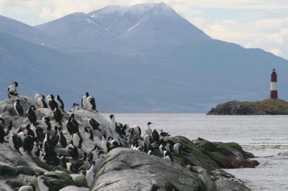 Catamaran Voyage to Seal & Bird Islands With Hotel