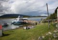 Sail to Penguin Island and Historic Estancia Harberton