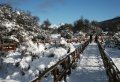 Take in the Natural Beauty of Tierra Del Fuego National Park