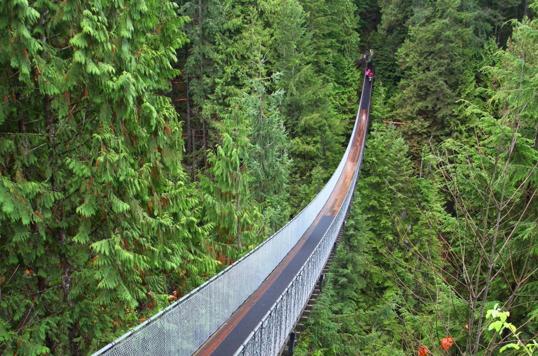 What a Brilliant Idea! Taking a Custom Made Private Tour of Canada