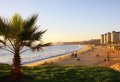 Enjoy a Vibrant Half Day Tour Of Viña del Mar, Reñaca & Concón 