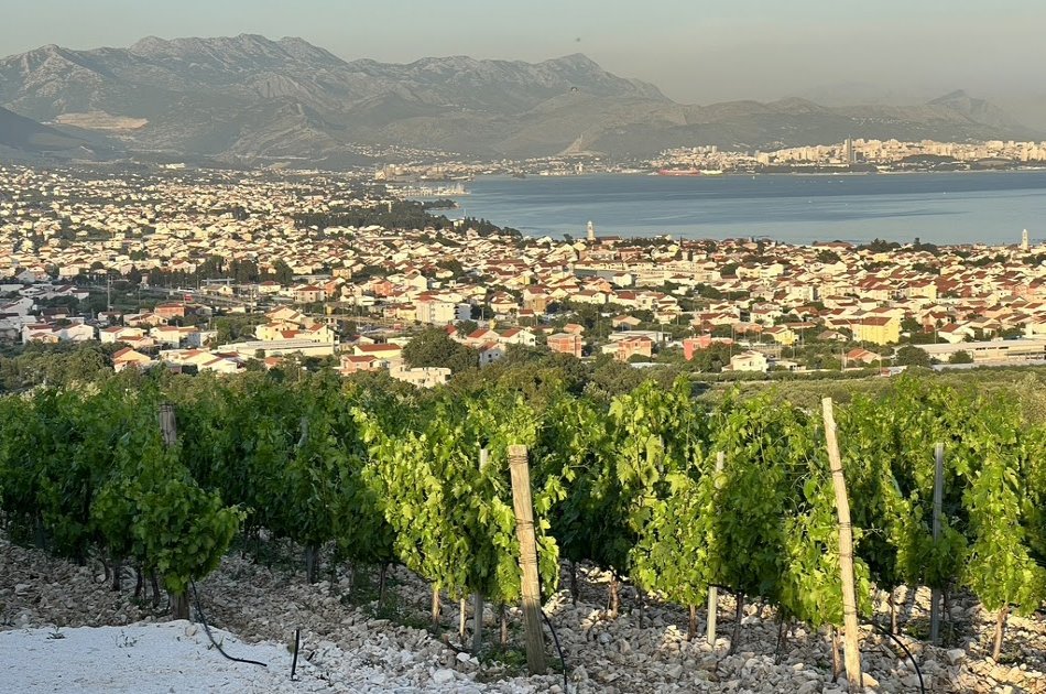 Private Split & Trogir: Wine Tasting & Vineyard with Sea View