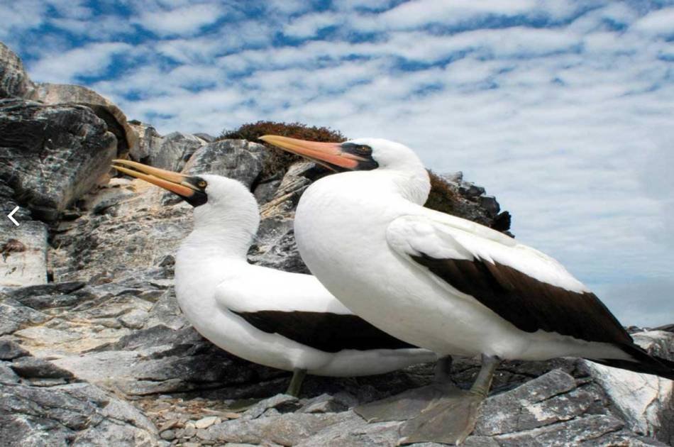 Mini Galapagos - 3 and a Half Star Hotel for 3 Days Private Tour