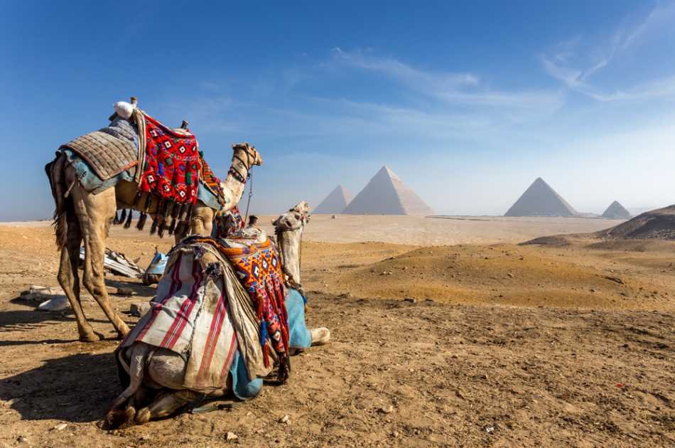 8 Day Pyramid Tour & Beaches in Sharm El Sheikh