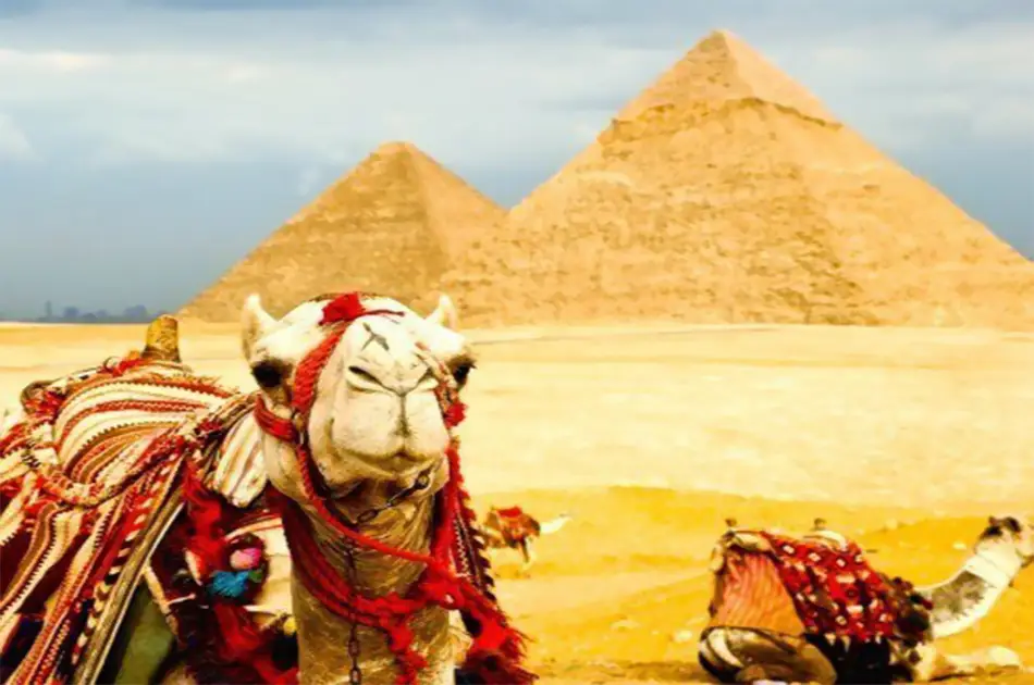 Giza Pyramid, Sakkara & Memphis Full Day Private Tour From Cairo