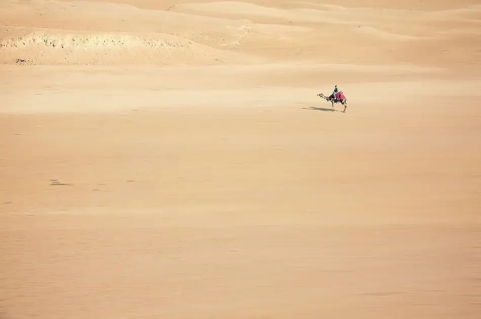 Morning Car Buggy Safari Hurghada