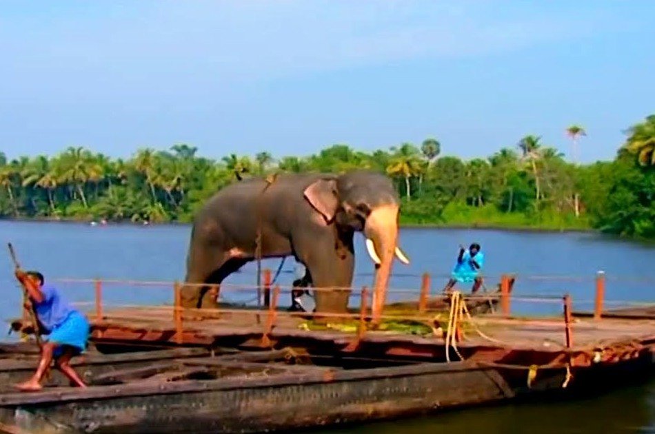 8 Day Kerala Tour from Cochin With Private Vehicle & English Speaking Driver