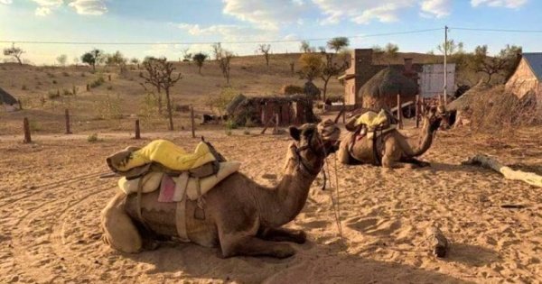 Jaisalmer City Tour & Camel Safari Private Tour