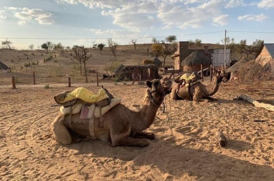 Jaisalmer City Tour & Camel Safari Private Tour