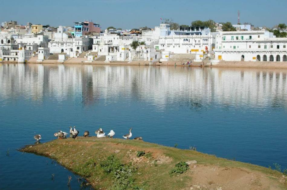 Private Transfer from Jodhpur to Pushkar