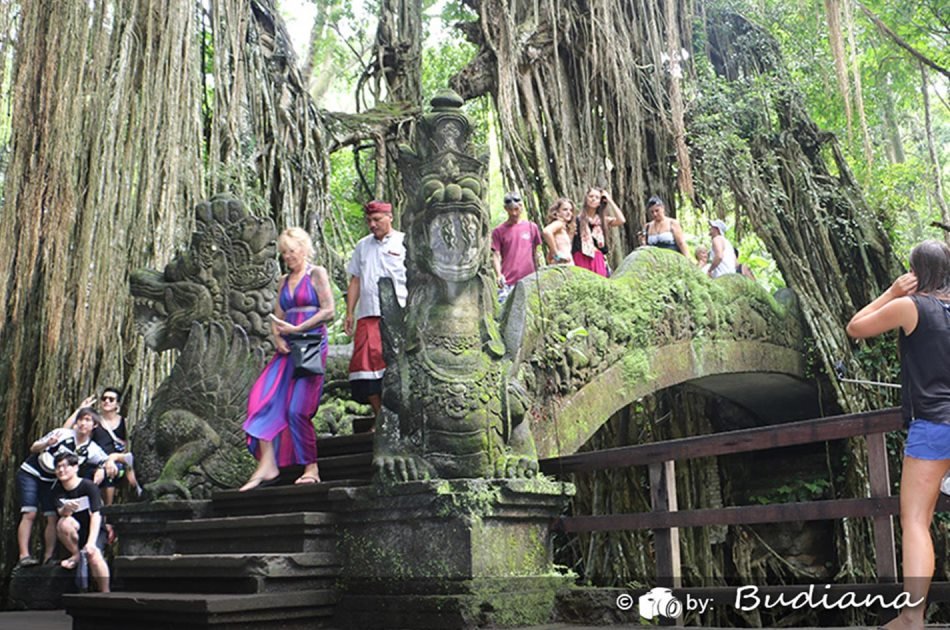 Bali Animals Lover Day Tours