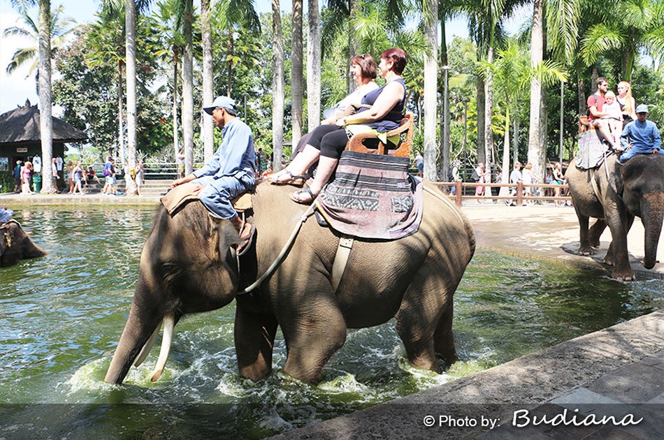 Bali Animals Lover Day Tours