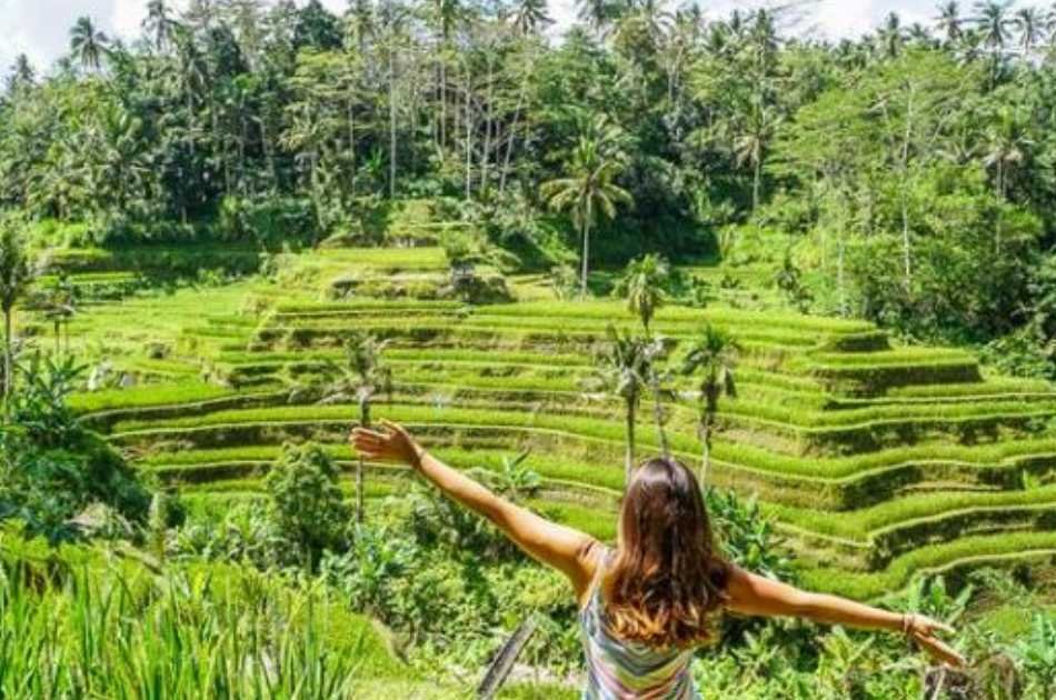 Balis great Water Temples and rice terraces