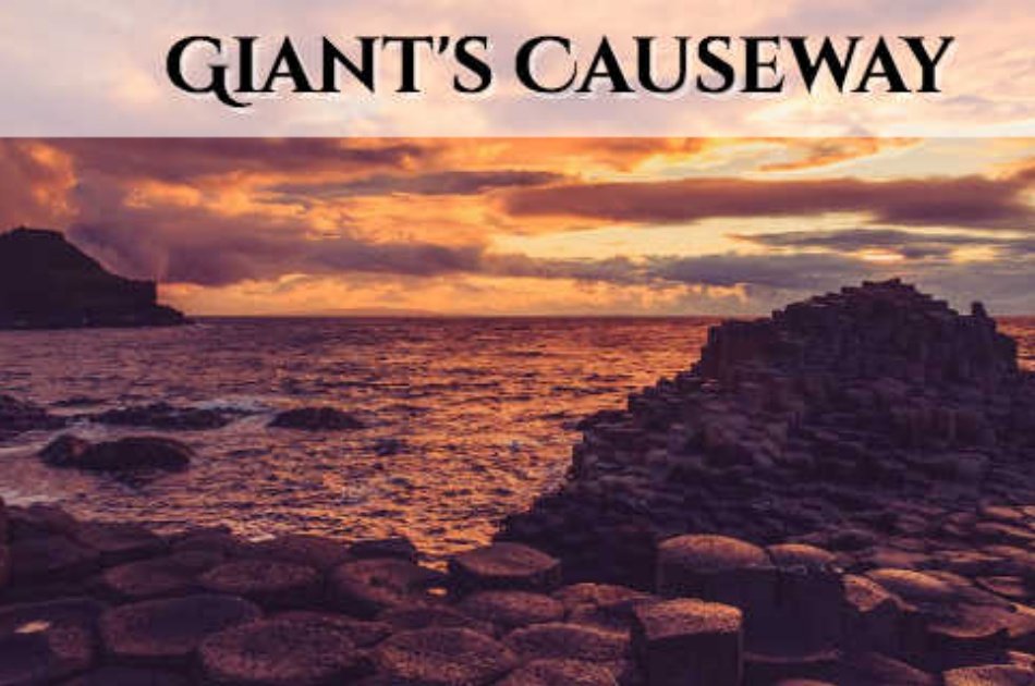 Giants Causeway, Dunluce Castle & Dark Hedges Day Tour Group Tour from Dublin