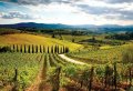 Chianti E-Bike Tour