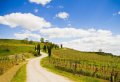 Chianti E-Bike Tour