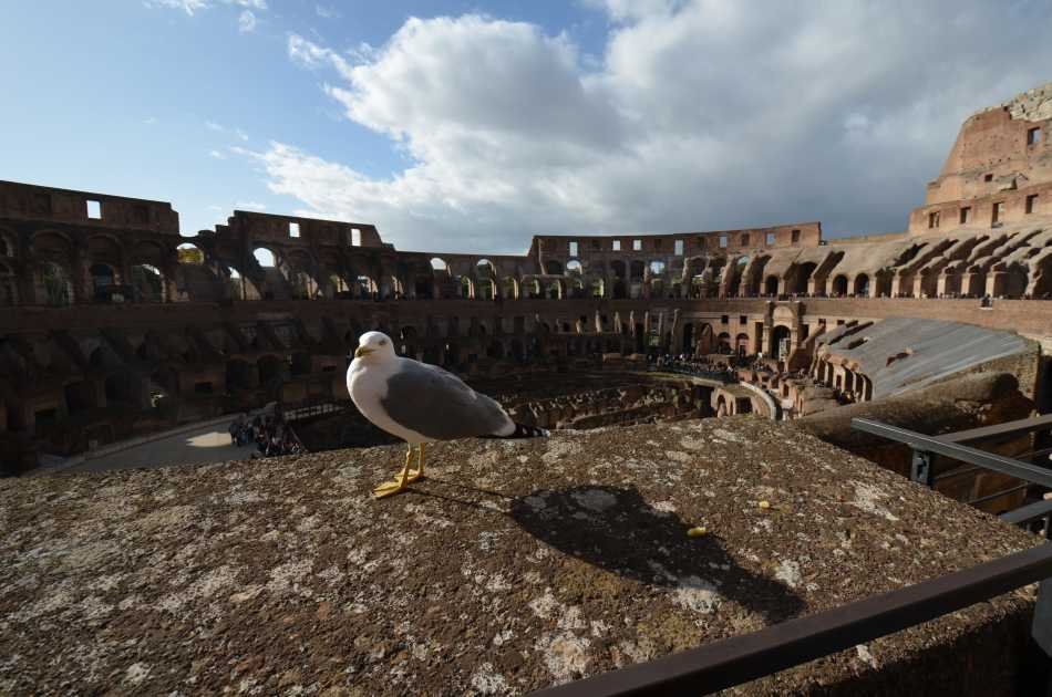 Colosseum Group Tour With Special Gladiator's Gate