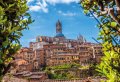 Guided Walking Tour of beautiful Siena