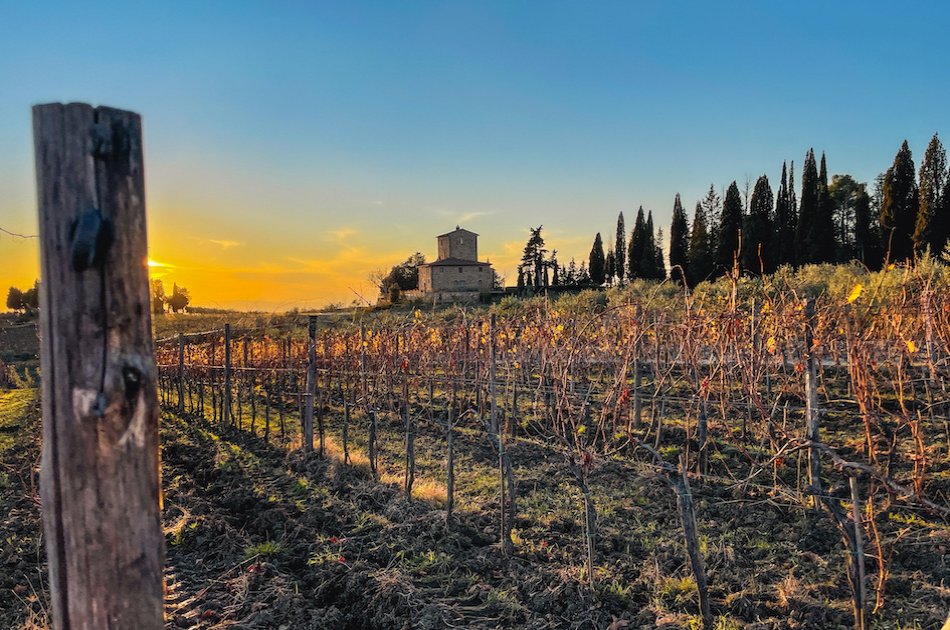 Private Chianti Classico Wine Trek Experience 3 wineries with lunch