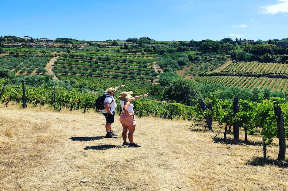 Private Chianti Classico Wine Trek Experience 3 wineries with lunch