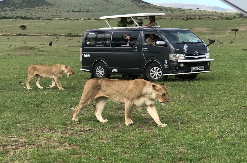 3 Day Maasai Mara Budget Safari