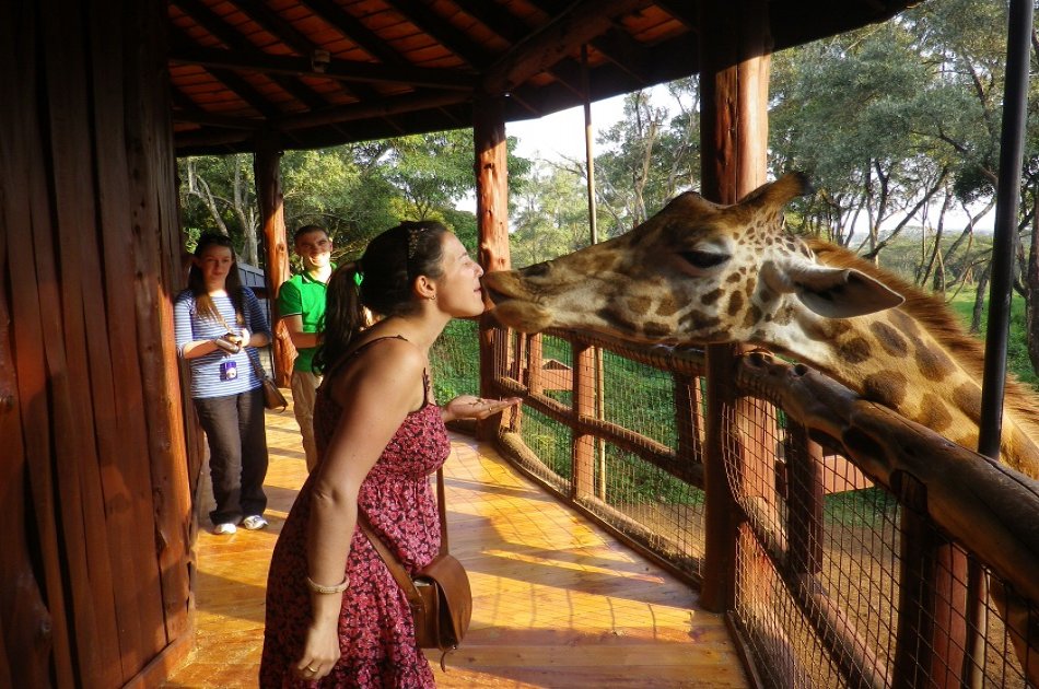 Half Day David Sheldrick Elephant Orphanage, Giraffe Center and Karen Brixen