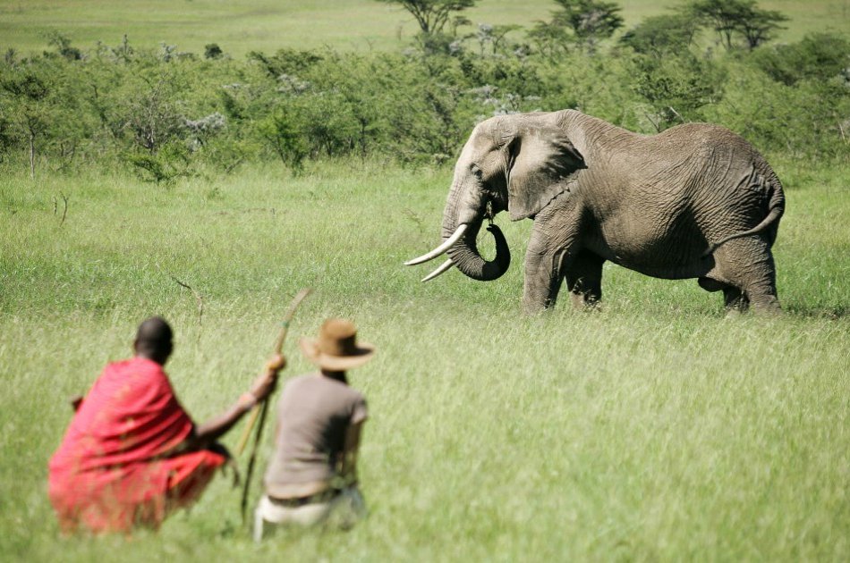 Kenya 3 Days Masai Mara Budget Camping Safari