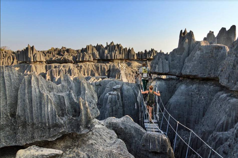 12 Day Madagascar 1000 Vies Tour From South Africa