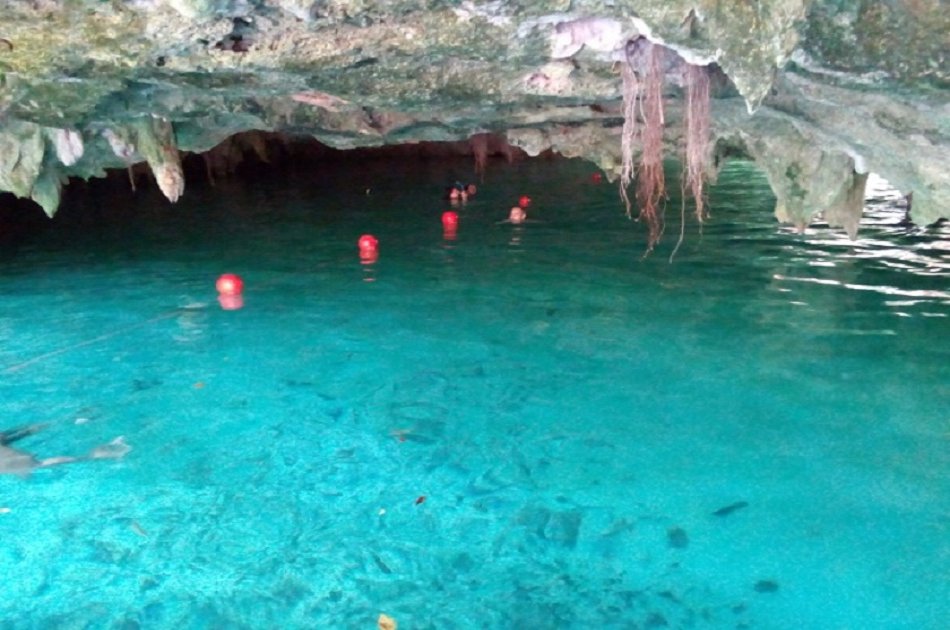 Coba & Sacred Cenotes of the Mayas 1 Day VIP Private Tour from Cancun/ Riviera Maya