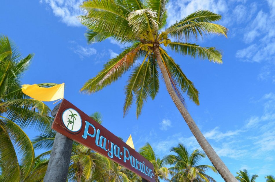 Discover Tulum Playa Paraiso Express Private Tour