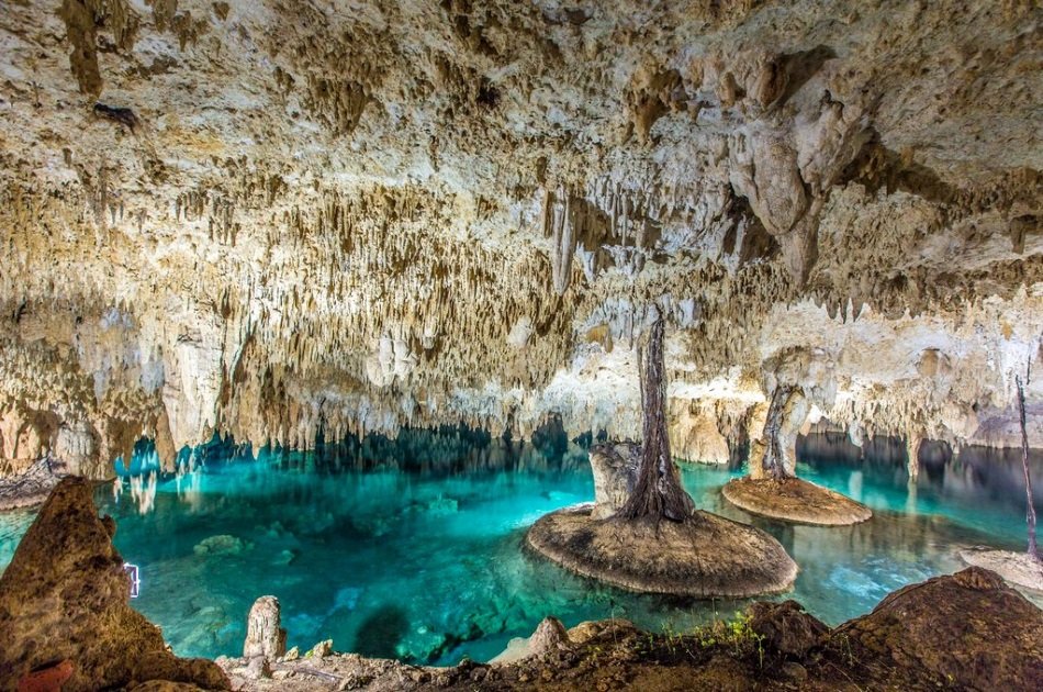 Half-Day Tulum and Sak Aktun Cave Cenote Private Tour