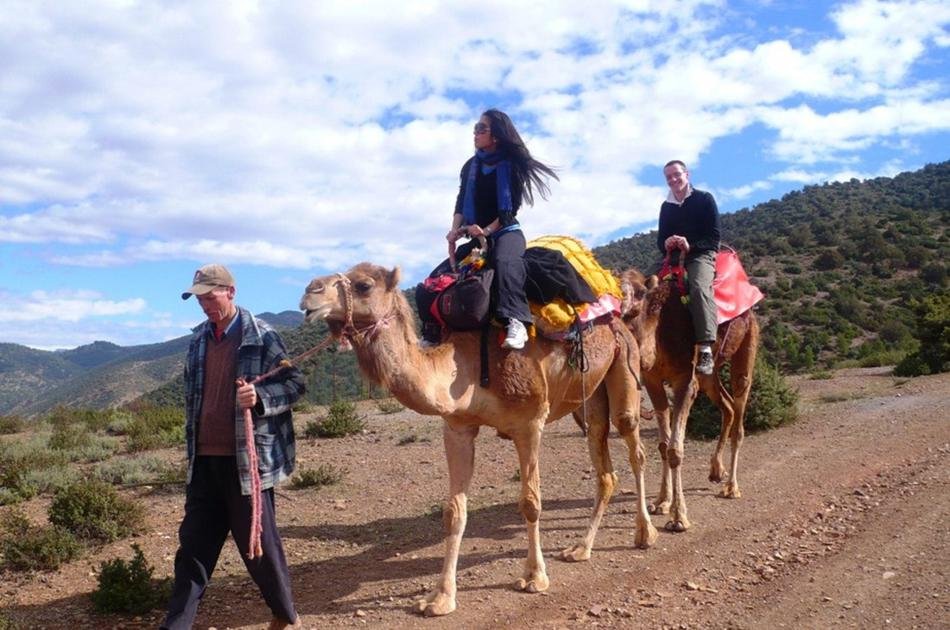 Day Trip to Atlas Mountains & 3 Valleys from Marrakech with Lunch & Camel Ride