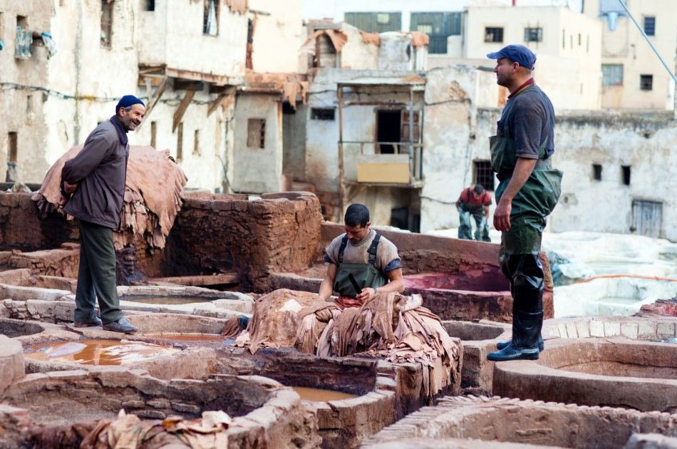 Full Day Fez Private Guided Tour