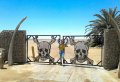 Northern Namibia & Skeleton Coast Safari (7day tour)