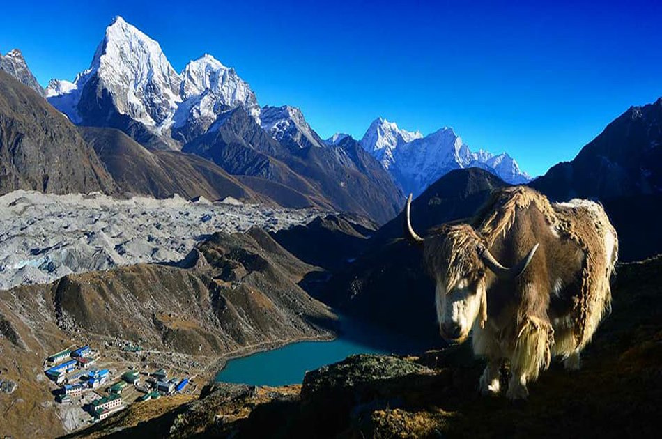 14 Days Private Gokyo Lake Trek