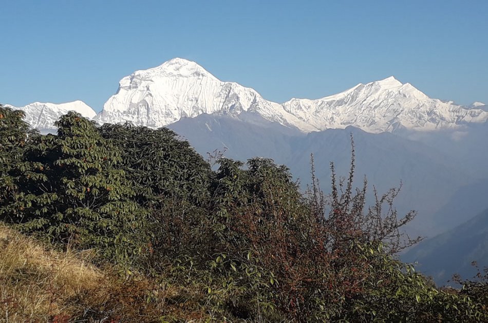 4 Day Ghorepani Poonhill Trek