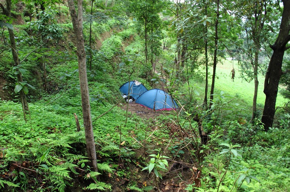 Champa Devi Private Hiking Tour