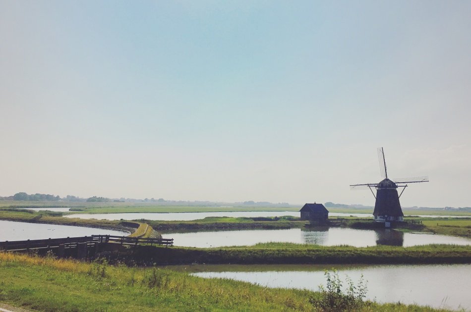 Amsterdam Countryside Private Tour: Edam, Volendam, Marken and Zaanse Schans