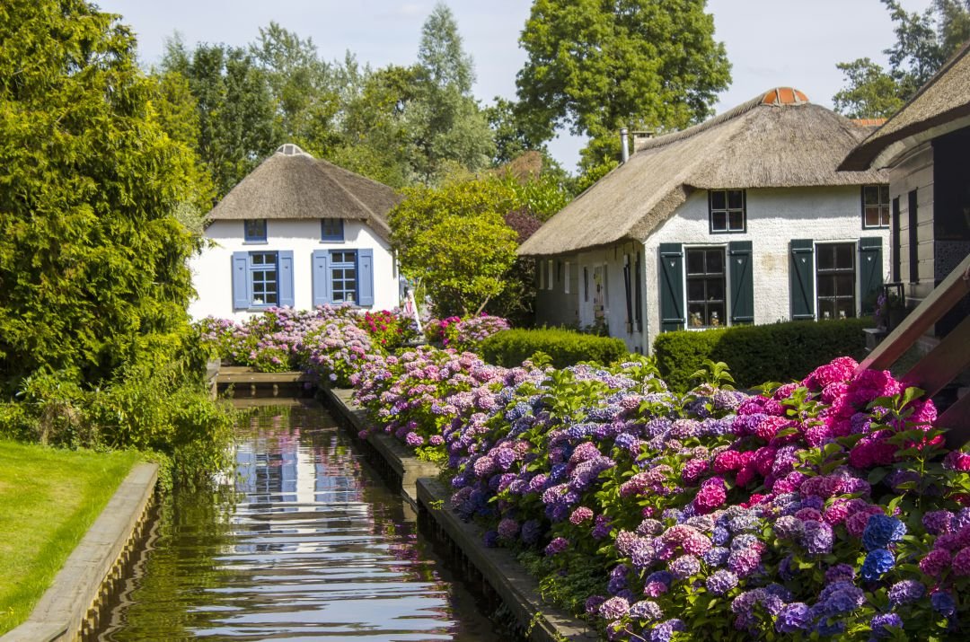 Get Your Fill of Windmills on a Private Guided Tour of the Netherlands