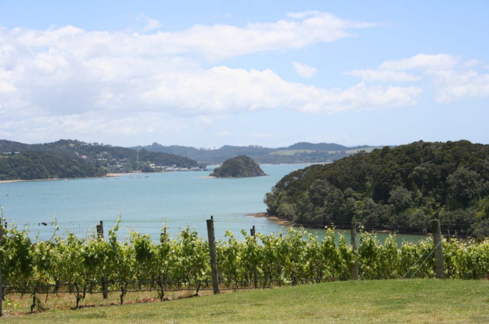 Half Day Bay of Islands Private Tour – Paihia & Kerikeri