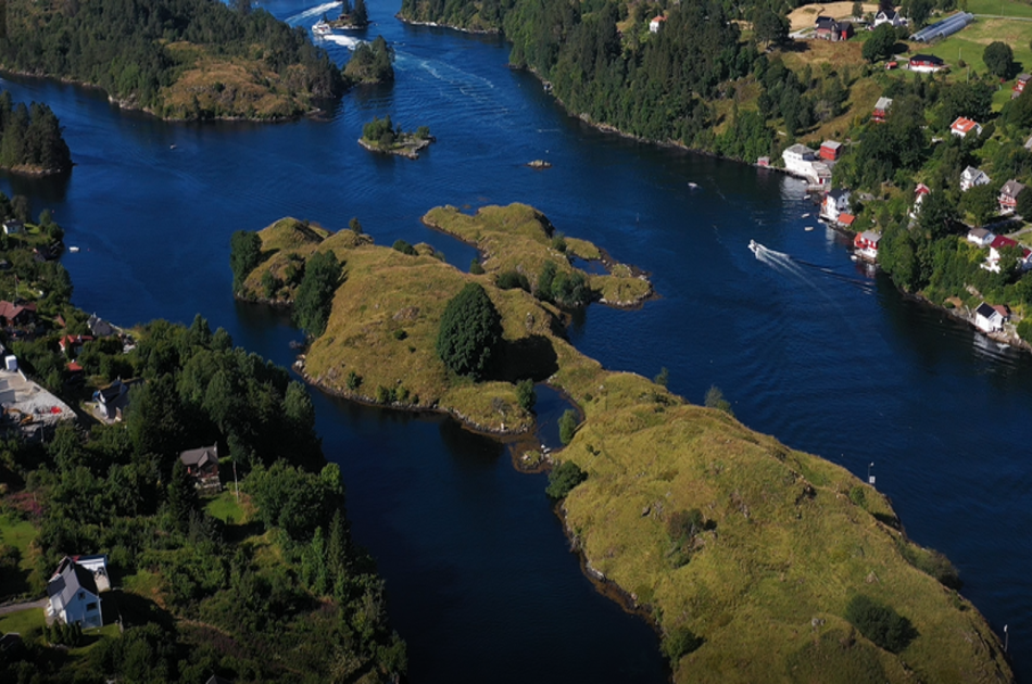 Bergen Fjord Cruise to Alversund Streams