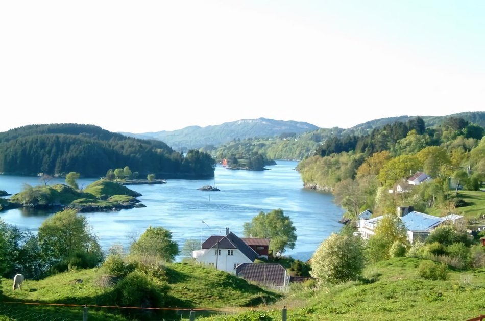 Bergen Fjord Cruise to Alversund Streams