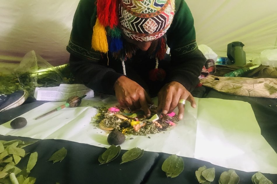 Full Day Andean Plant Teacher Tour