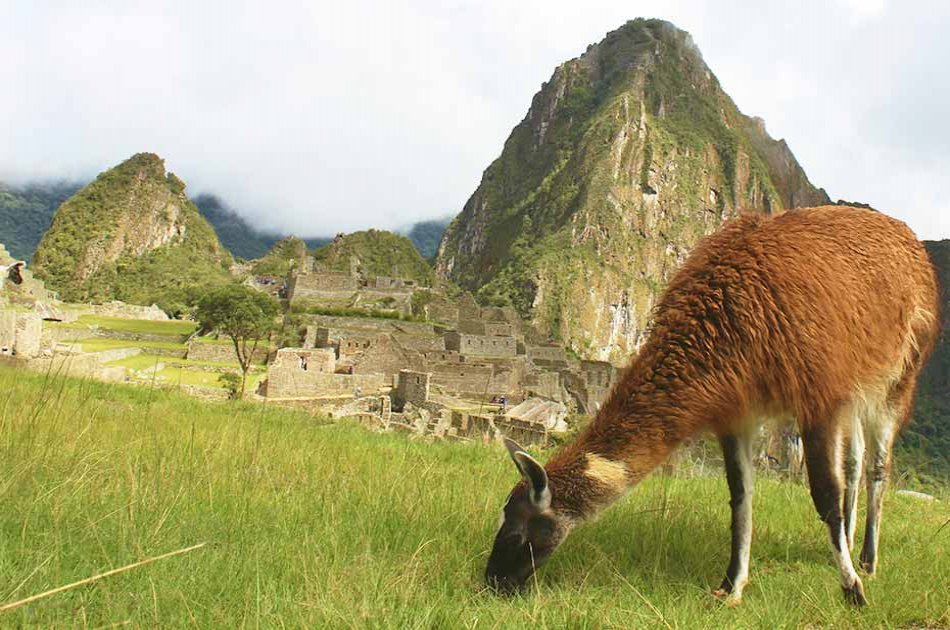 Luxury Touristic Packages in Cusco and Machu Picchu 6 Days