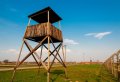 Wieliczka and Auschwitz in one day