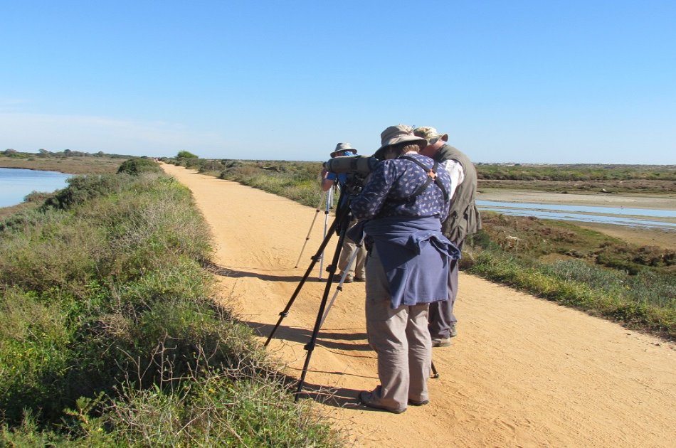 Birdwatching around Faro