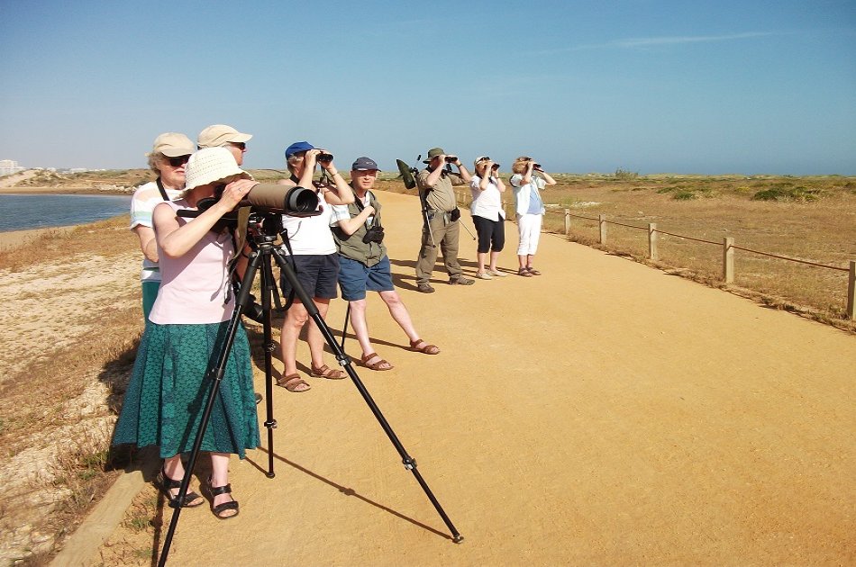 Birdwatching at Alvor dunes