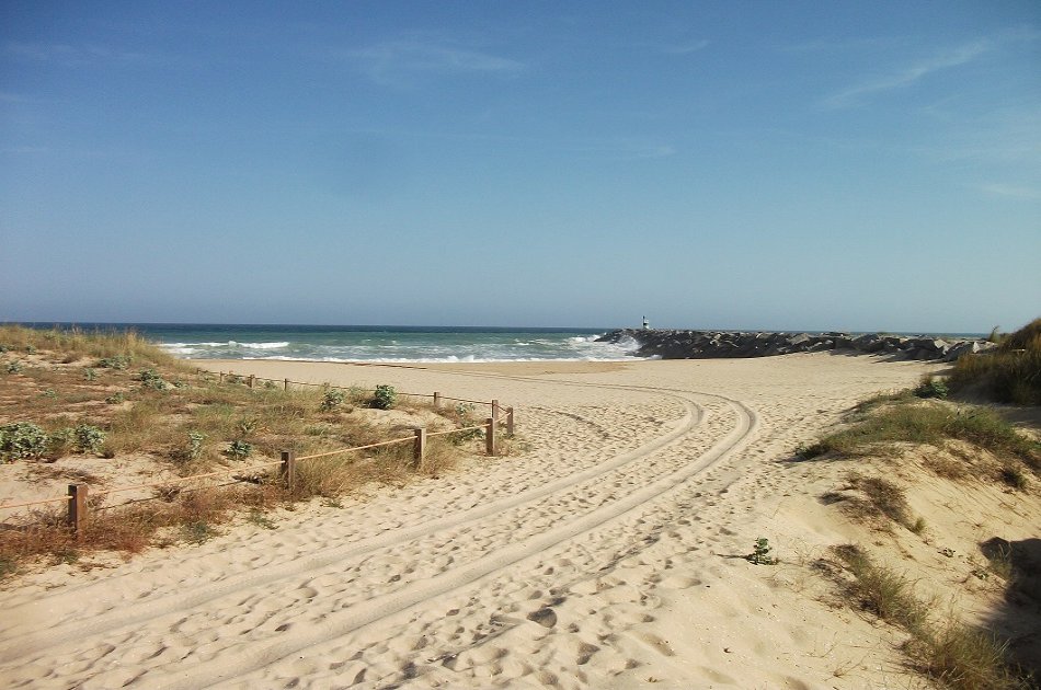 Birdwatching at Alvor dunes