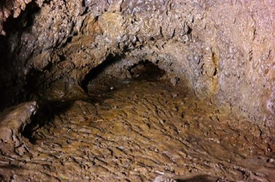 Caves Tour (Algar Do Carvão, Gruta Do Natal, Furnas Do Enxofre) from Azores